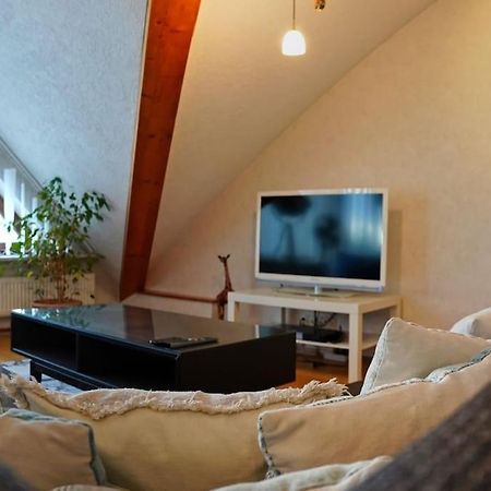 Grosse, Helle Wohnung Fuer Bis Zu 6 Personen Weinheim Exterior foto